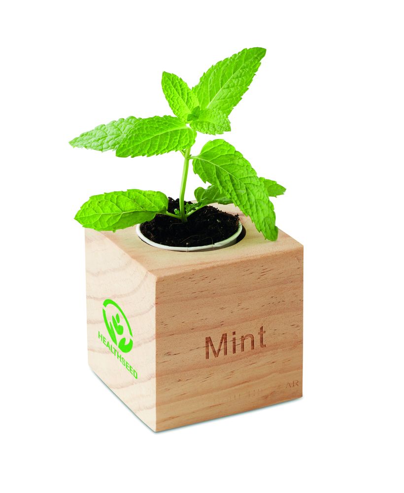 GiftRetail MO9337 - MENTA Herb pot wood "MINT"