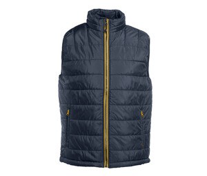 Navy / Gold