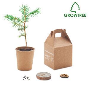 GiftRetail MO6228 - GROWTREE™ Pine tree set